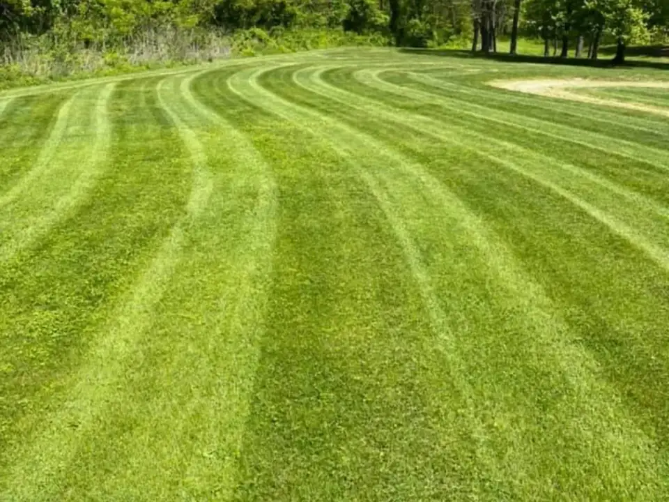 Mown lawn with alternating stripes.