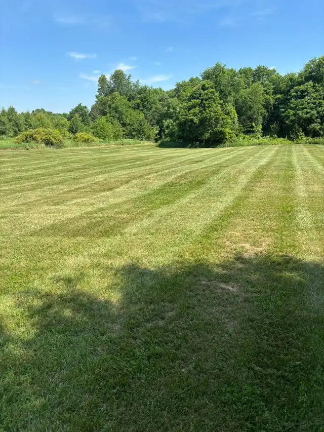 Parallel mowing stripes extend across an open lawn.