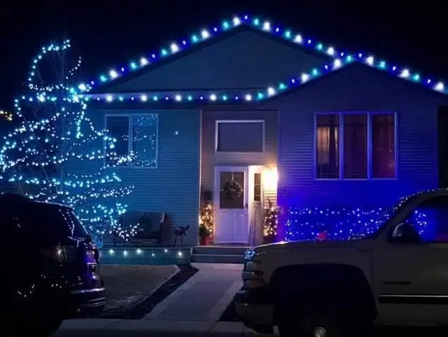Blue and white lights trace a roofline and a tree at night.