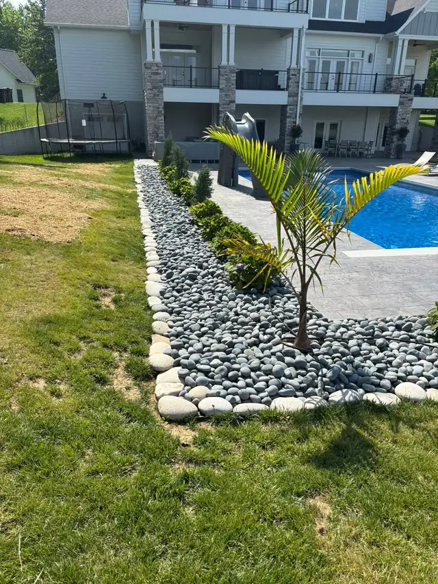 River rock and palms line the edge of a poolside planting bed.