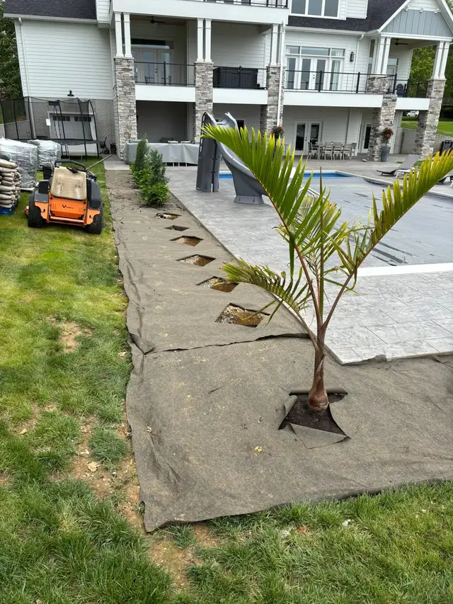 A planting bed with landscape fabric and spaced planting openings.
