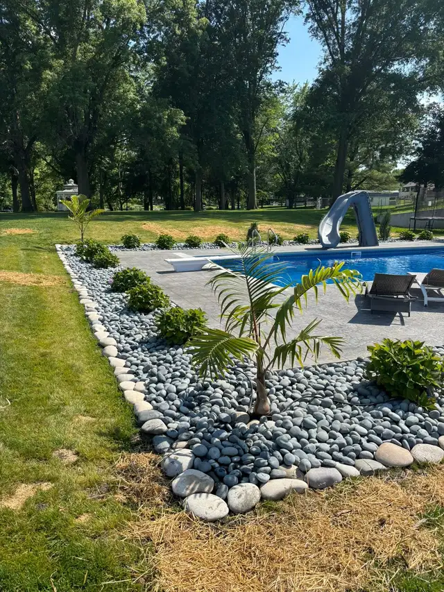 A river rock bed with palms, shrubs and rounded edging.