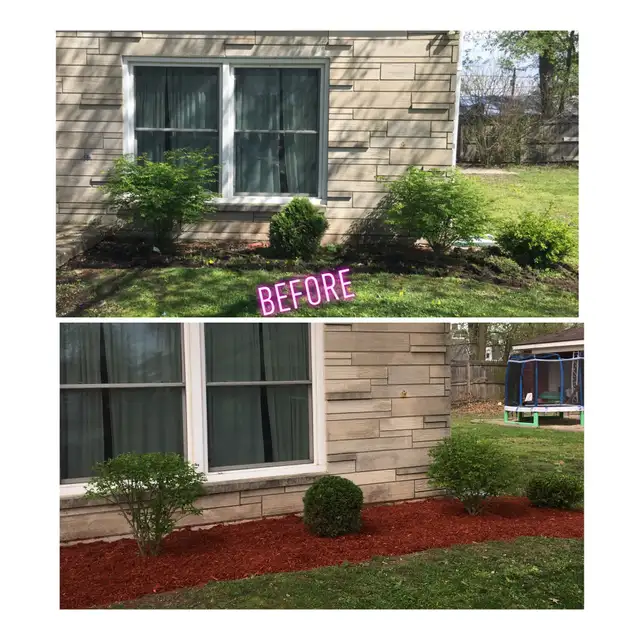 Original collage of shrubs and red mulch beneath a window.