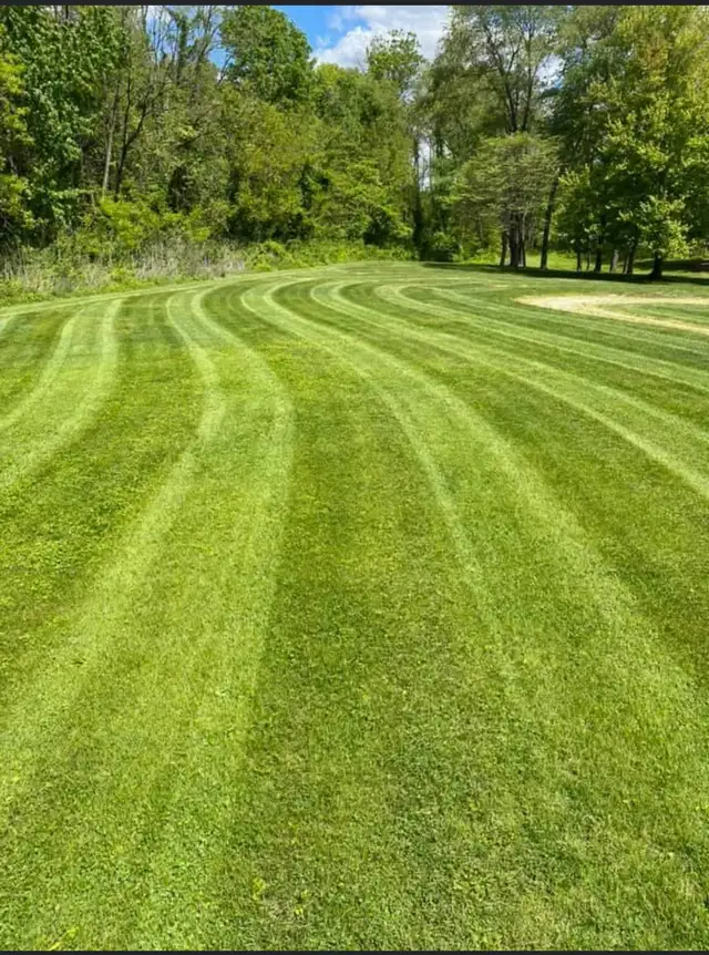 Curving mowing stripes across a green lawn bordered by trees.