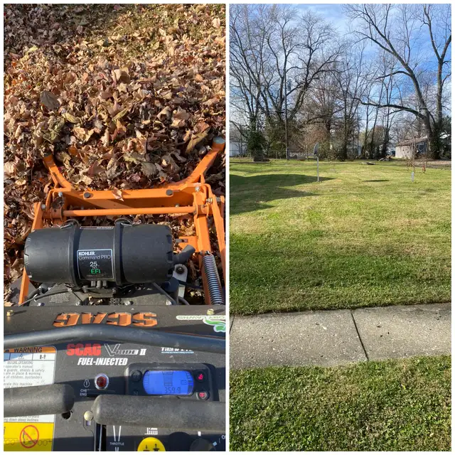Original collage of collected leaves and a lawn beside a path.