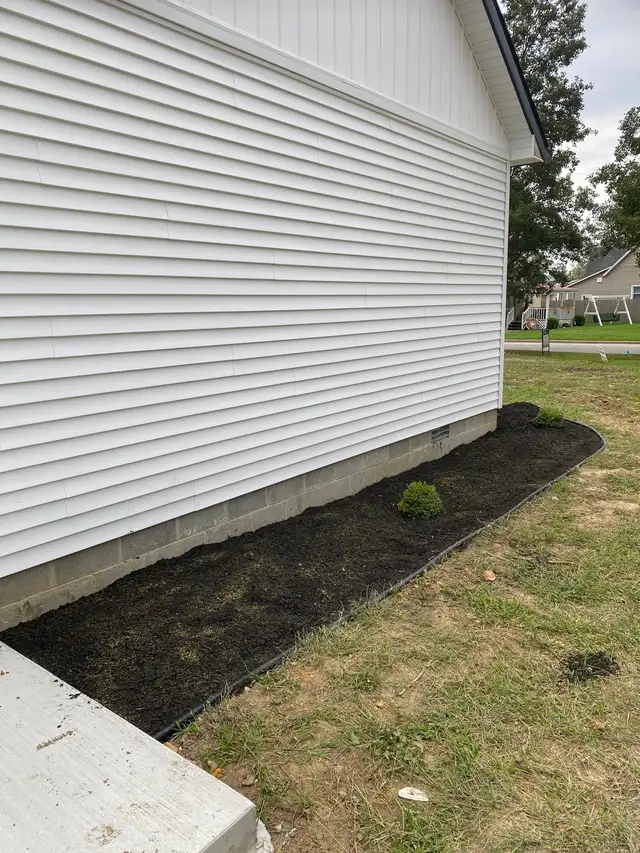 A long mulch border with small shrubs beside a white wall.