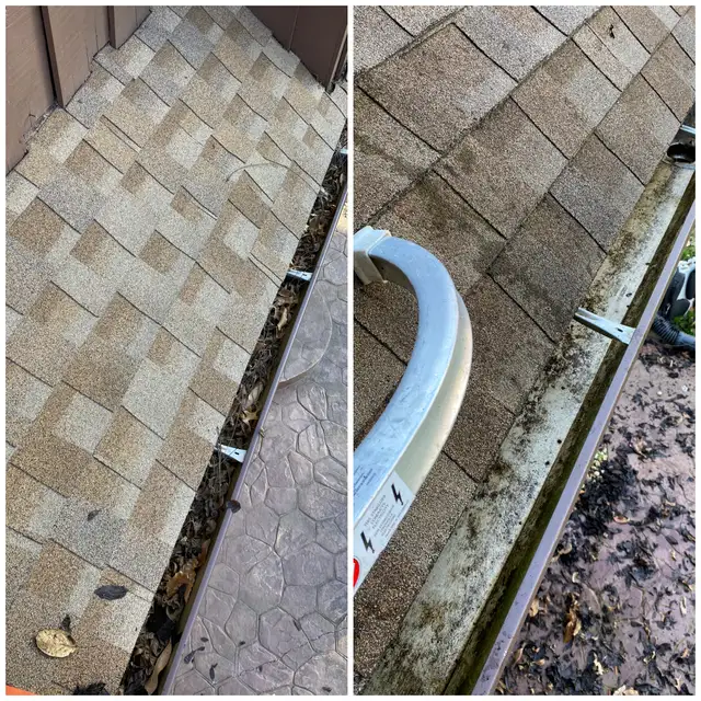 Original collage of leaf debris and a cleared roof-edge gutter.