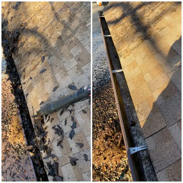 Original collage of leaves along a roof and a clear gutter.