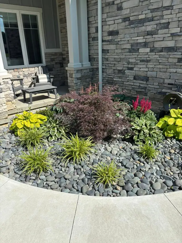 A maple, leafy plants and flowers in a decorative stone bed.