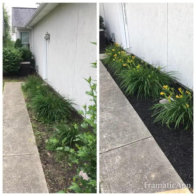 Original collage of flowers and mulch along a walkway.