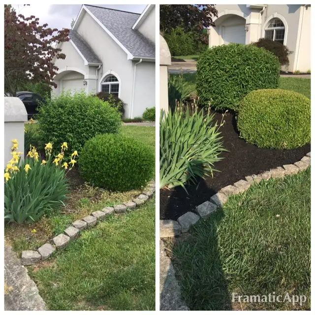 Original collage of shrubs, flowers and dark mulch.