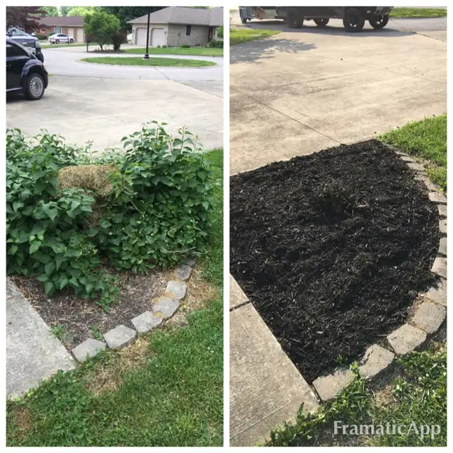Original collage of plants and mulch beside a driveway.